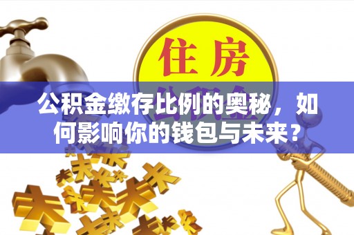 射阳公积金缴存比例的奥秘，如何影响你的钱包与未来？