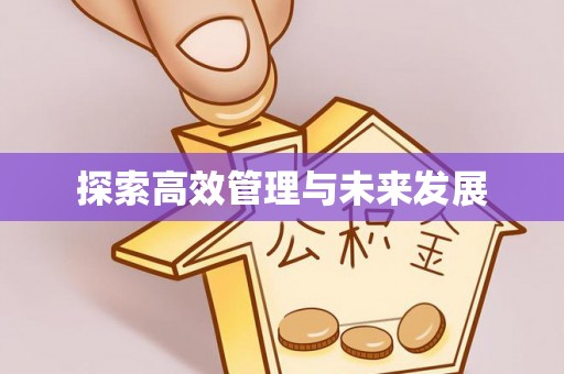 射阳探索高效管理与未来发展