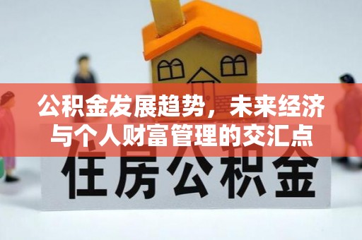 射阳公积金发展趋势，未来经济与个人财富管理的交汇点