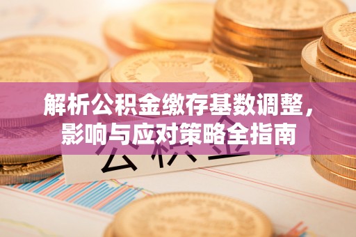 射阳解析公积金缴存基数调整，影响与应对策略全指南