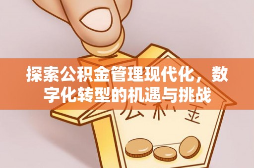 射阳探索公积金管理现代化，数字化转型的机遇与挑战