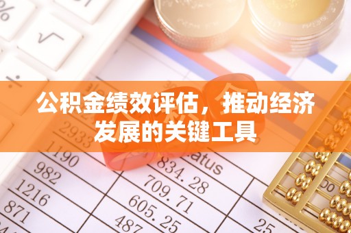 射阳公积金绩效评估，推动经济发展的关键工具
