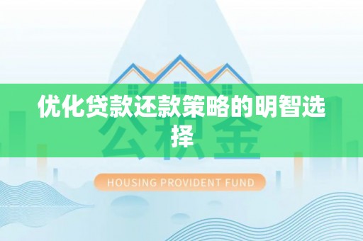 射阳优化贷款还款策略的明智选择