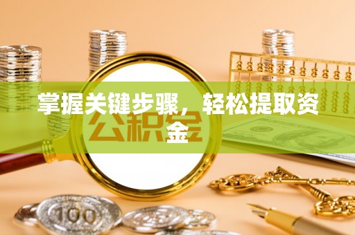 射阳掌握关键步骤，轻松提取资金