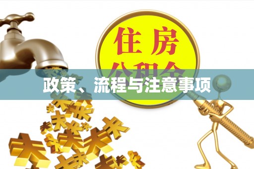 射阳政策、流程与注意事项
