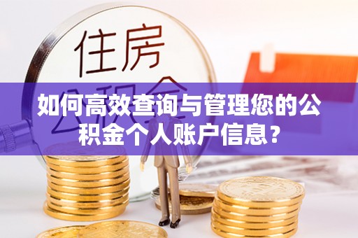 射阳如何高效查询与管理您的公积金个人账户信息？