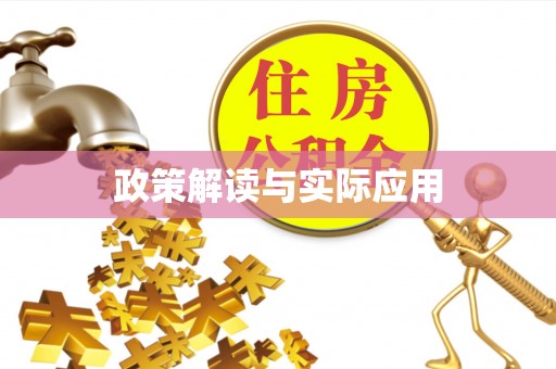 射阳政策解读与实际应用