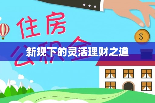 射阳新规下的灵活理财之道