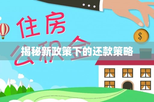 射阳揭秘新政策下的还款策略