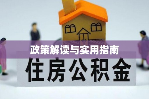 射阳政策解读与实用指南