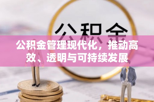 射阳公积金管理现代化，推动高效、透明与可持续发展