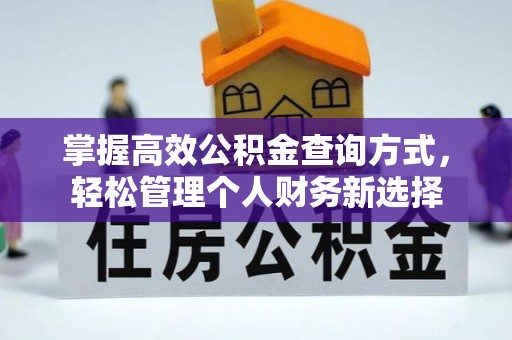 射阳掌握高效公积金查询方式，轻松管理个人财务新选择