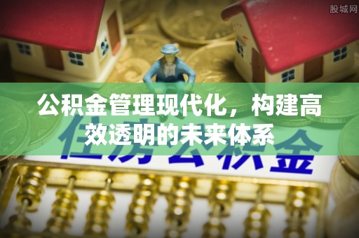 射阳公积金管理现代化，构建高效透明的未来体系