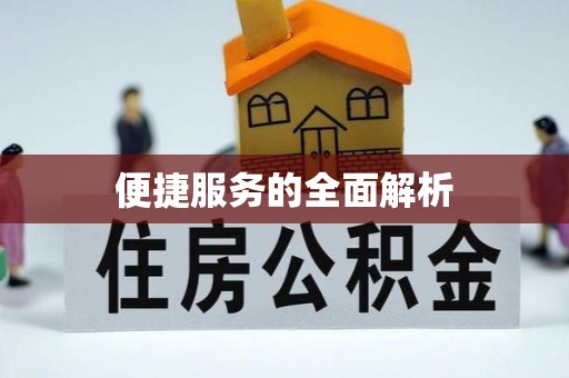射阳便捷服务的全面解析