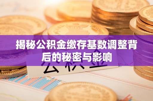 射阳揭秘公积金缴存基数调整背后的秘密与影响