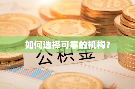 射阳如何选择可靠的机构？