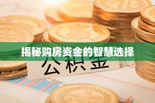 射阳揭秘购房资金的智慧选择