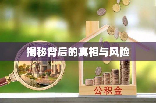 射阳揭秘背后的真相与风险
