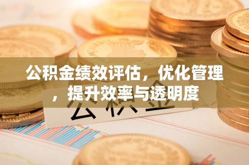 射阳公积金绩效评估，优化管理，提升效率与透明度