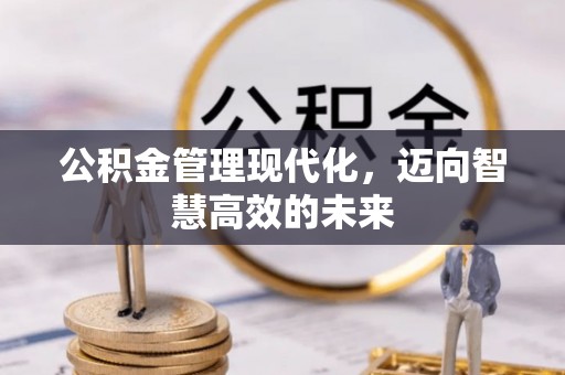 射阳公积金管理现代化，迈向智慧高效的未来