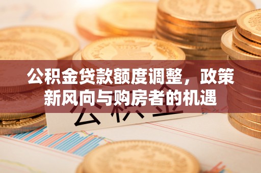 射阳公积金贷款额度调整，政策新风向与购房者的机遇