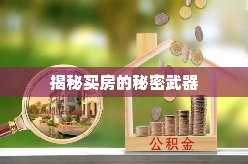 射阳揭秘买房的秘密武器