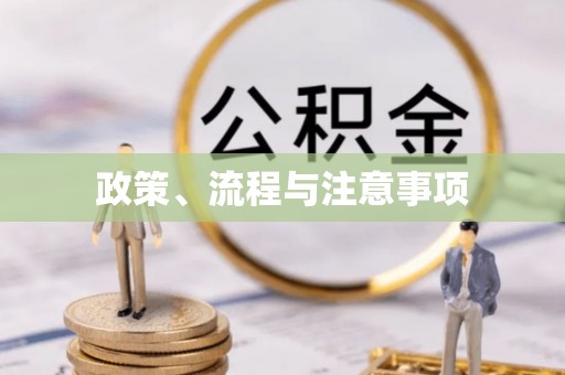 射阳政策、流程与注意事项
