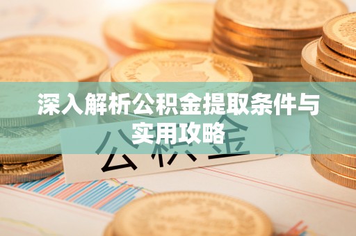 射阳深入解析公积金提取条件与实用攻略