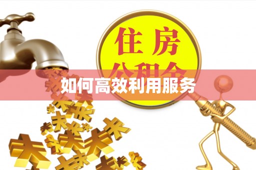射阳如何高效利用服务