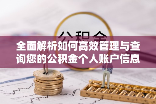 射阳全面解析如何高效管理与查询您的公积金个人账户信息