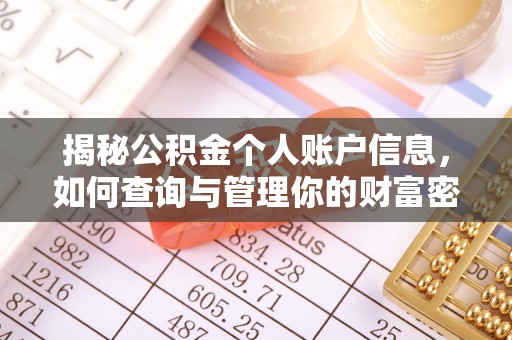 射阳揭秘公积金个人账户信息，如何查询与管理你的财富密码