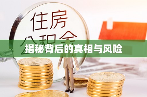 射阳揭秘背后的真相与风险