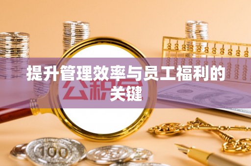 射阳提升管理效率与员工福利的关键