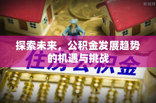 射阳探索未来，公积金发展趋势的机遇与挑战