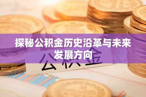 射阳探秘公积金历史沿革与未来发展方向