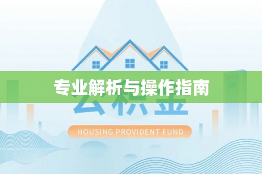 射阳专业解析与操作指南
