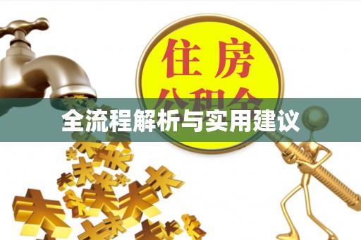 射阳全流程解析与实用建议