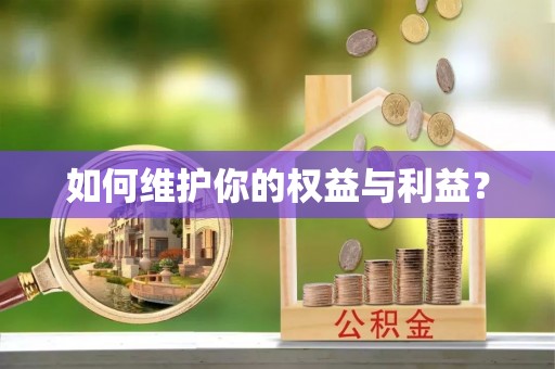 射阳如何维护你的权益与利益？