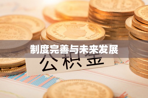 射阳制度完善与未来发展