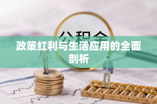 射阳政策红利与生活应用的全面剖析