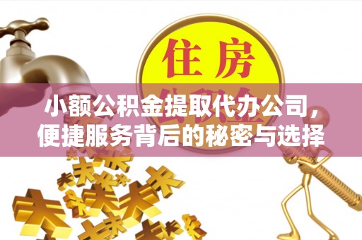 射阳小额公积金提取代办公司，便捷服务背后的秘密与选择指南