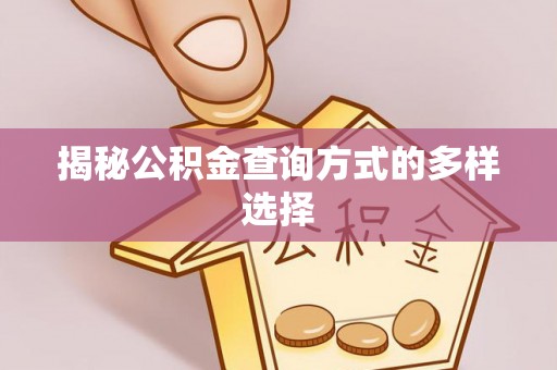 射阳揭秘公积金查询方式的多样选择