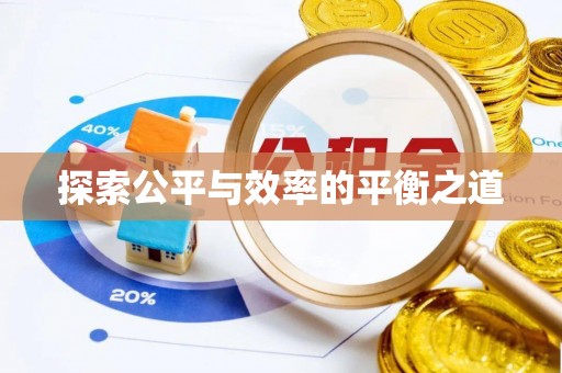 射阳探索公平与效率的平衡之道