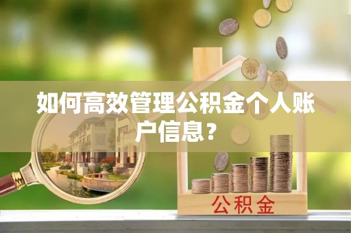 射阳如何高效管理公积金个人账户信息？