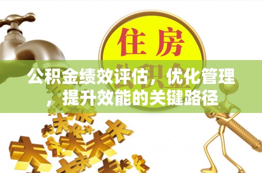 射阳公积金绩效评估，优化管理，提升效能的关键路径