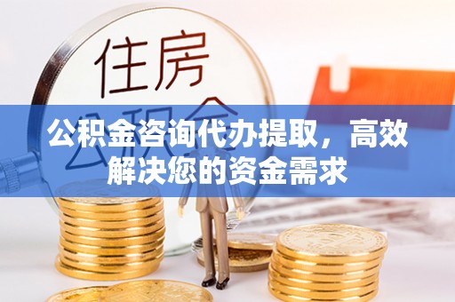 射阳公积金咨询代办提取，高效解决您的资金需求