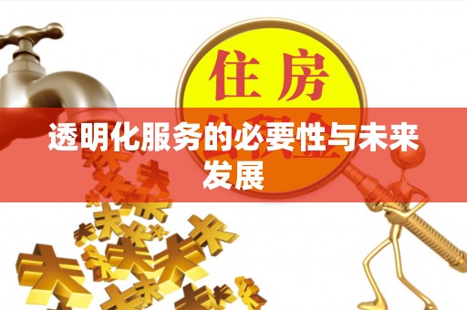 射阳透明化服务的必要性与未来发展