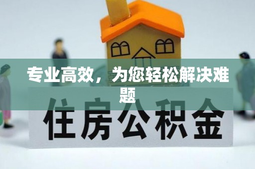 射阳专业高效，为您轻松解决难题