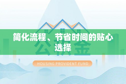 射阳简化流程、节省时间的贴心选择
