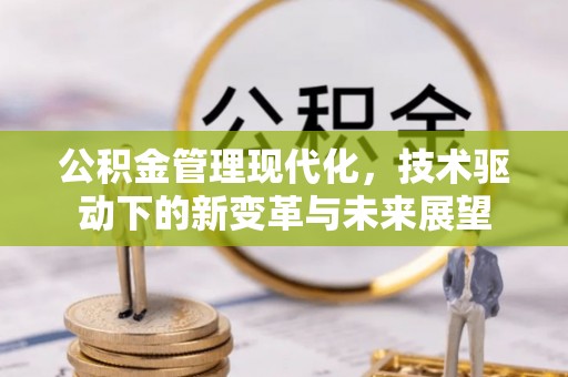 射阳公积金管理现代化，技术驱动下的新变革与未来展望